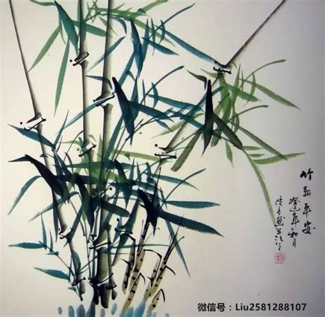 金絲竹風水|家裏養竹子有什麼講究，對風水好嗎？